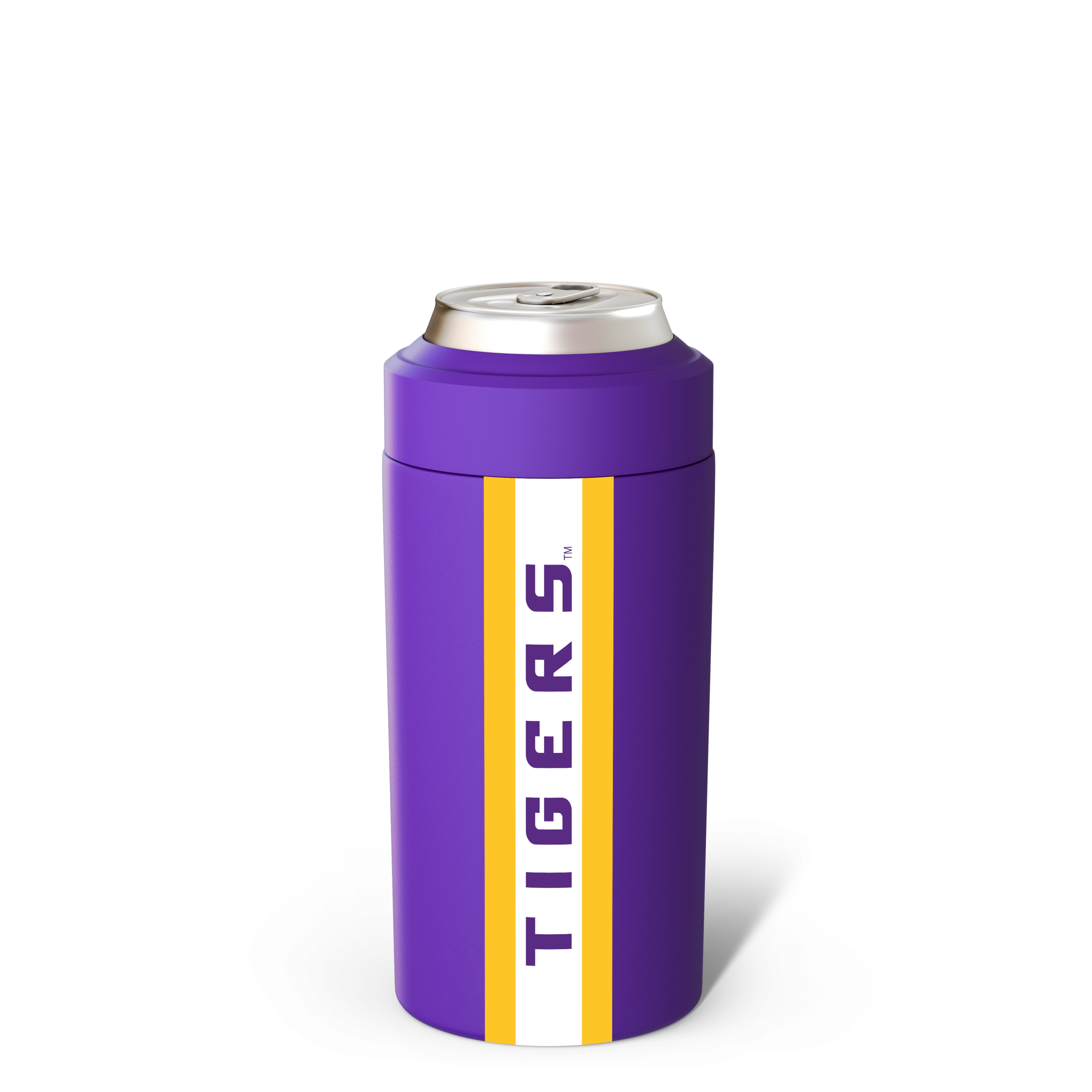 3._vs_purple_1.png